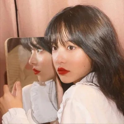 观鸟者