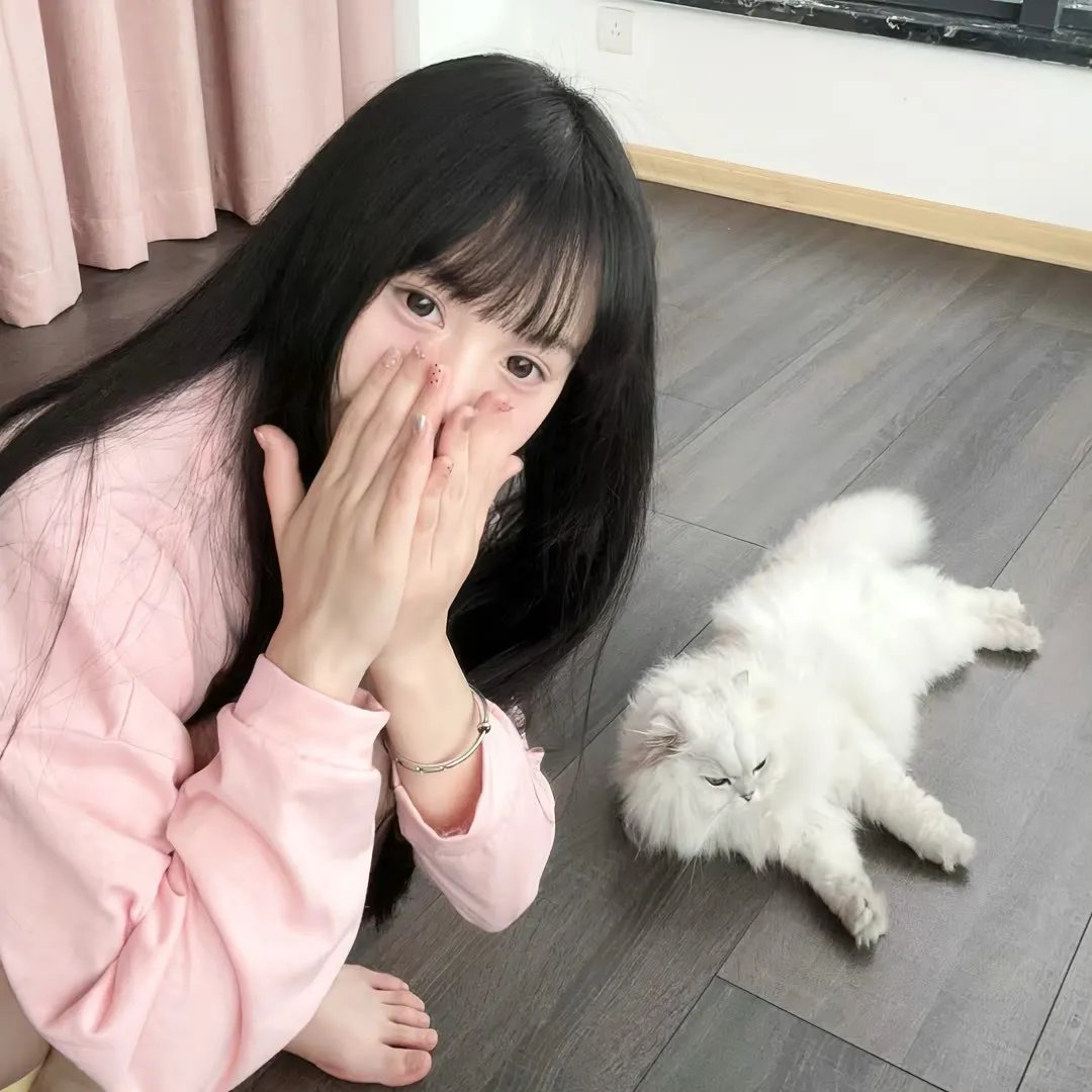 铁面无私